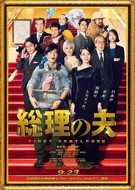 日日视频