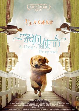 胡桃去掉小内打扑克