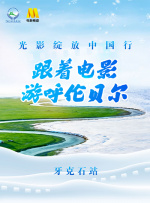 msi壁纸
