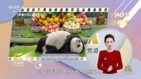 伊人久久免费